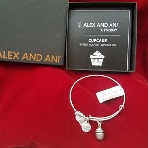 Alex and Ani charm bracelet